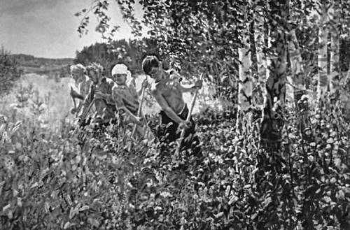 А. А. Пластов. «Сенокос». 1945. Третьяковская галерея. Москва.