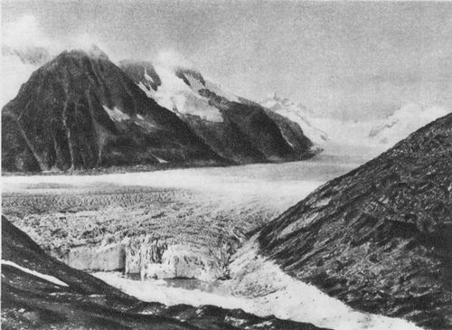 Крупнейший в Альпах ледник Алечский глетчер.