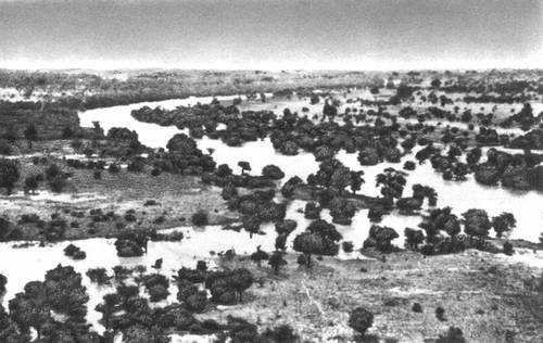 Берега озера Чад в сезон дождей.
