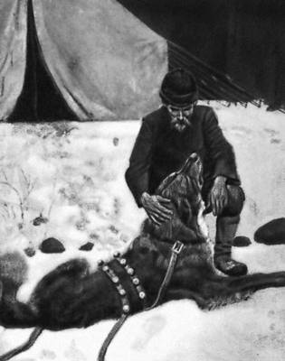 Дж. Лондон. «Зов предков» (Нью-Йорк, 1903). Илл. Ф. Р. Гудвина.