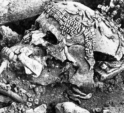 Сунгирьская стоянка. Череп одного из погребённых. Сохранились бусы из бивней мамонта и просверлённые клыки песцов, украшавшие шапку.