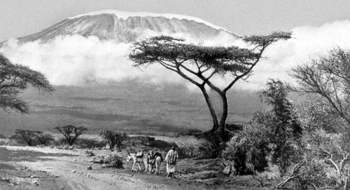 Массив Килиманджаро.