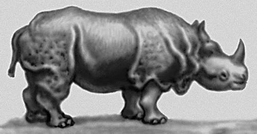 Индийский носорог.