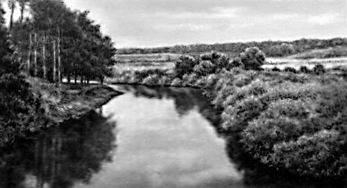 Река Десна в верхнем течении.