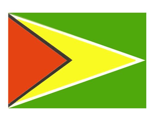 Флаг государственный. Гайана.