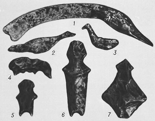 Костяные и каменные фигурки с Волосовской стоянки: 1 — голова лебедя; 2, 3 — изображения птиц; 4 — изображение животного; 5, 6, 7 — изображения человека.