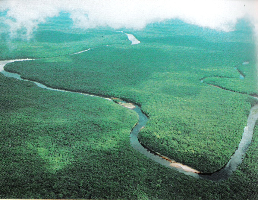 liste-der-nationalparks-in-venezuela