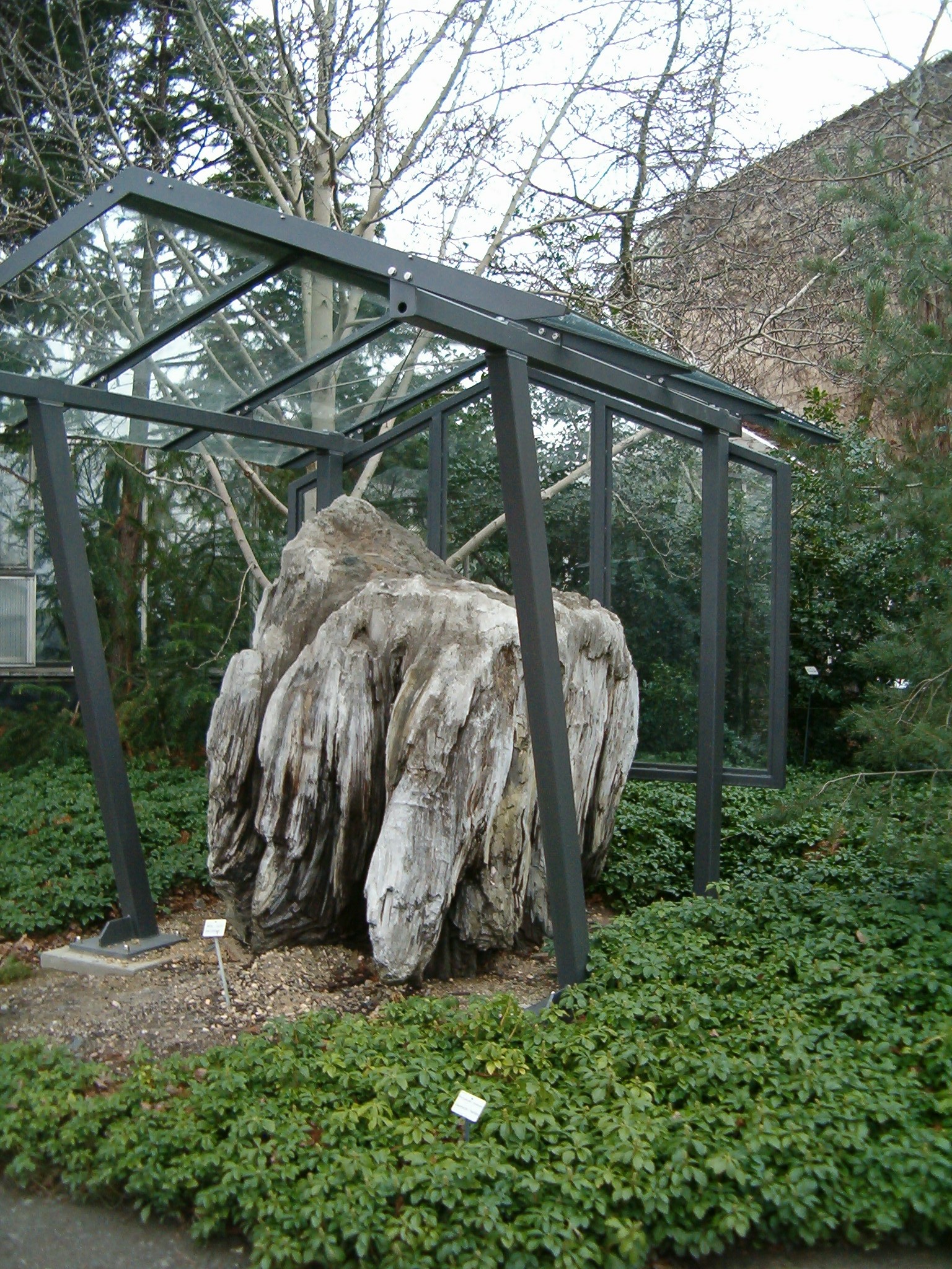 Botanischer Garten der Technischen Universität Dresden