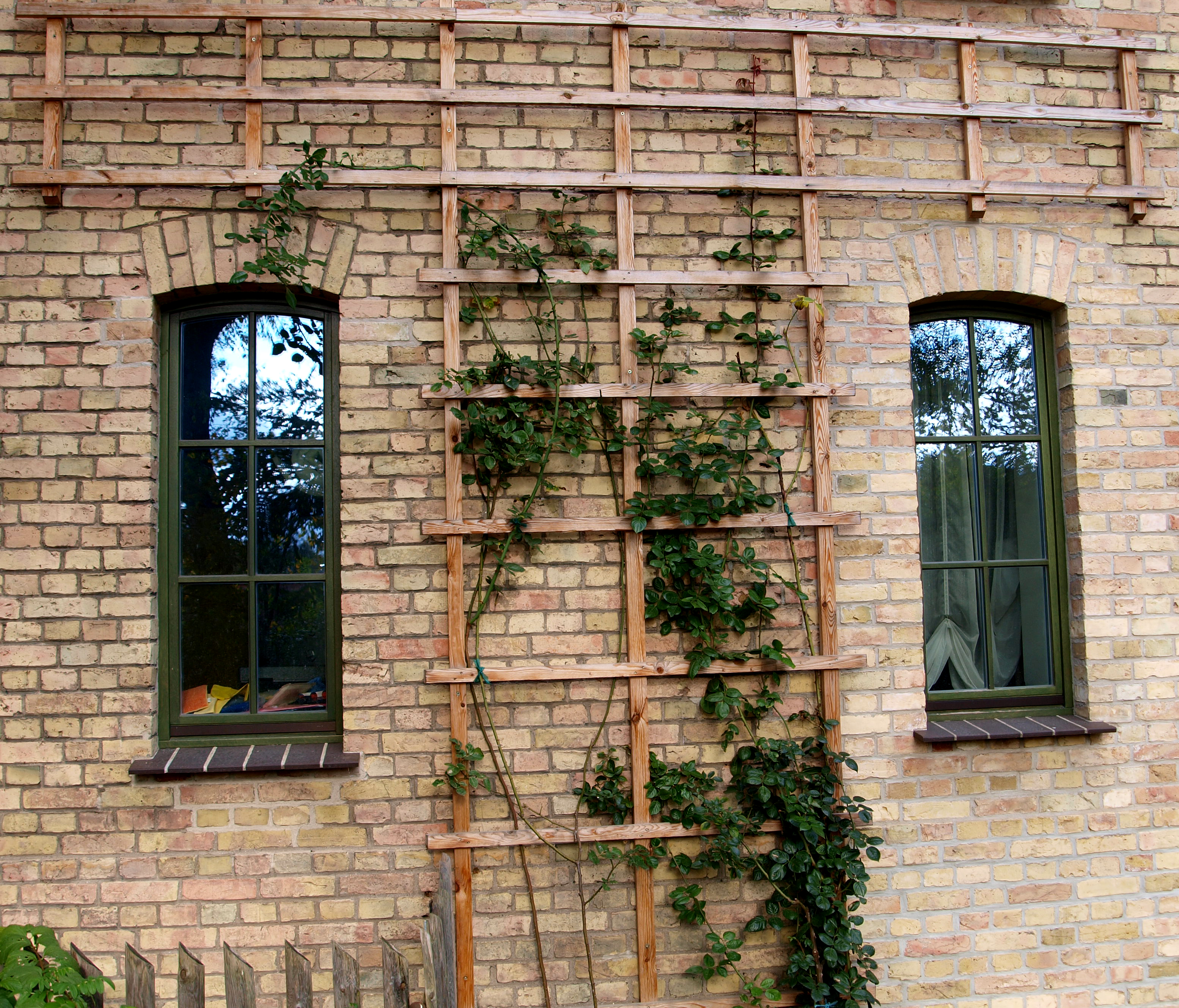 Rankgerüst