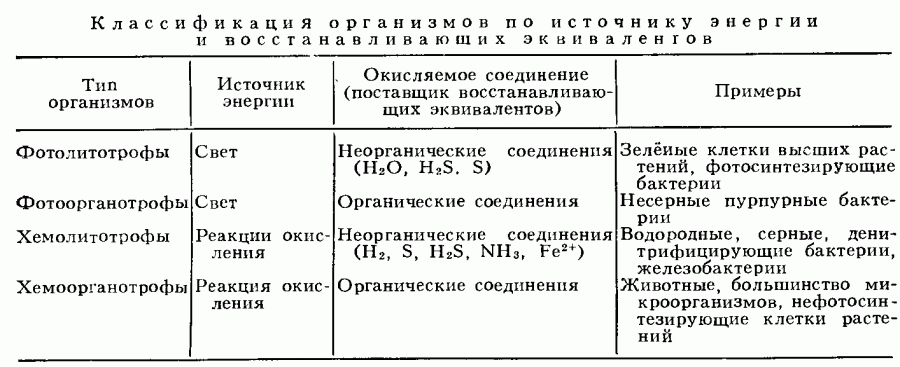 Что такое окисление в биологии. Смотреть фото Что такое окисление в биологии. Смотреть картинку Что такое окисление в биологии. Картинка про Что такое окисление в биологии. Фото Что такое окисление в биологии