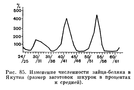 Координатная плоскость. Математическая модель - презентация онлайн
