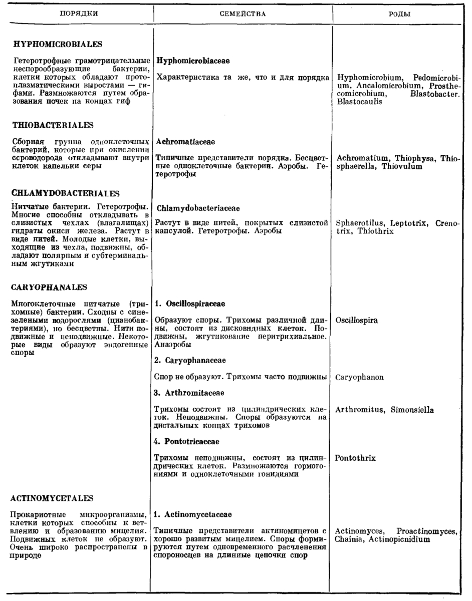 Перечислите группу микроорганизмов