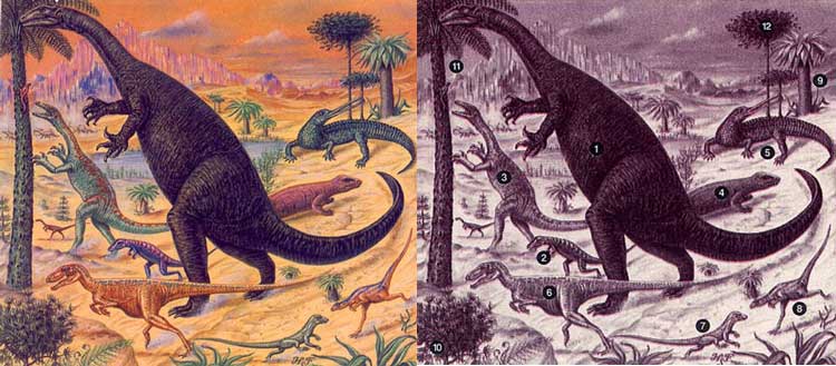 ЖИЗНЕННЫЕ ФОРМЫ ТРИАСОВОГО ПЕРИОДА. Триасовый период начался ок. 225 млн. лет назад и длился примерно 35 млн. лет. Динозавры появились именно в этом периоде и к концу его стали доминировать на суше. Вместе с ними на Земле жили многочисленные амфибии, а также другие рептилии, в том числе мелкие зверообразные формы. Растительность в основном состояла из хвойных деревьев, древовидных папоротников и саговников. В приведенном ниже списке названия динозавров даны без уточнения группы, к которой относится род. 1 - Plateosaurus; 2 - Saltoposuchus (текодонт); 3 - Coelophysis; 4 - Cynognathus (зверообразная рептилия); 5 - Rutiodon (полуводная рептилия); 6 - Herrerasaurus; 7 - Euparkeria (текодонт); 8 - Procompsognathus; 9 - Macrotaeniopteris (папоротник); 10 - Wielandiella (беннеттитовое); 11 - Williamsonia (беннеттитовое); 12 - Араукария (хвойное).