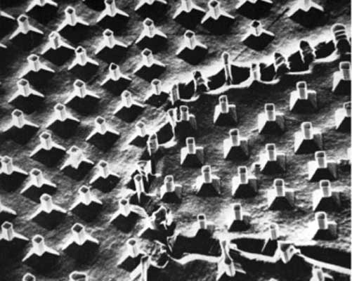 Рис. 9. ЭВТЕКТИЧЕСКАЯ МИКРОСТРУКТУРА, полученная направленным отвердеванием и состоящая из игл карбида тантала в никель-хромовой матрице. Изображение получено на растровом электронном микроскопе.