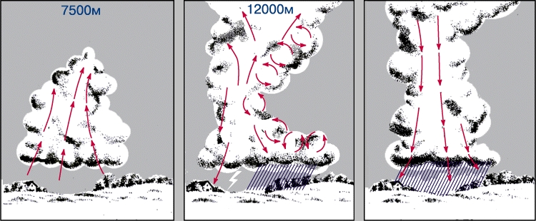 РАЗВИТИЕ ГРОЗОВОГО ОБЛАКА. На первой стадии (слева) кучевое облако под воздействием внутренних воздушных течений растет в высоту и превращается в грозовое облако. На стадии зрелости (в центре) верхняя часть облака достигает более холодной стратосферы. Здесь влага, содержащаяся в облаке, конденсируется, образуя капли воды или ледяные кристаллы, которые падают, охлаждая воздушное пространство под облаком. В результате на заключительной стадии (справа) все грозовое облако остывает и выпадает дождь. Стратосферные воздушные течения смещают вершину грозового облака, придавая ему типичную форму наковальни.
