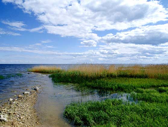 ЧУДСКОЕ ОЗЕРО на границе Эстонии и России занимает котловину плейстоценового приледникового водоема.