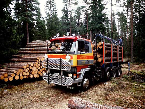 ПЕРЕВОЗКА БРЕВЕН автотранспортом с погрузочной площадки в лесу на лесопильный завод (Финляндия).