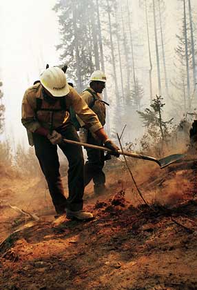 ПОЖАРНЫЕ ЛЕСНОЙ СЛУЖБЫ США прокладывают противопожарную полосу, чтобы сдержать распространение огня, бушующего в национальном лесу Колвилл (шт. Вашингтон, США).
