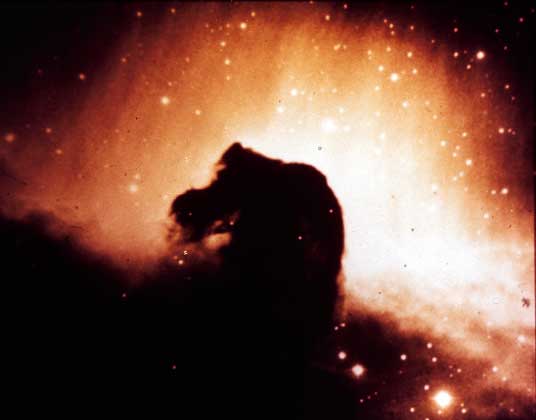 ТУМАННОСТЬ КОНСКАЯ ГОЛОВА в Орионе. На фоне яркой туманности заметно холодное темное облако, отросток которого имеет форму конской головы.