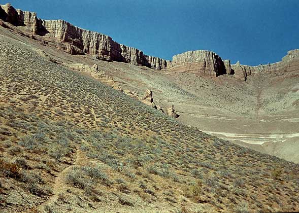КОНУСЫ ВЫНОСА (пролювиальные шлейфы) в пустынях Туркменистана.