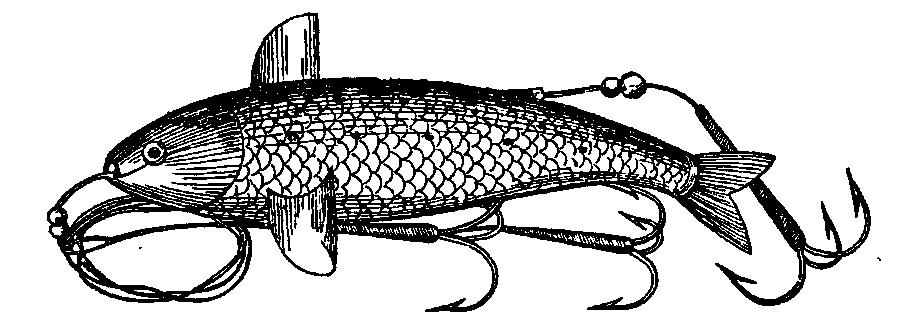 Рис. 181_1. Обыкновенная металлическая рыбка.