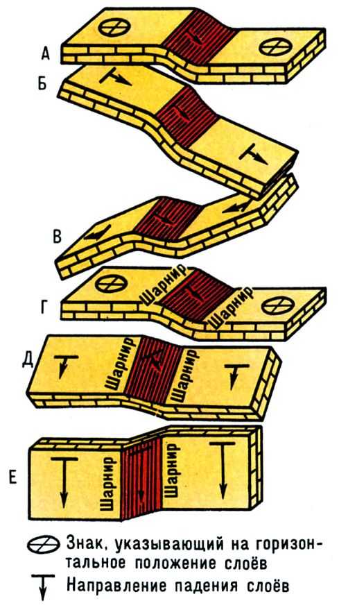  Положение слоев в основных разновидностях флексур: простая (A), попутная (Б), встречная (B), горизонтальная (Г), наклонная (Д) и вертикальная (E)