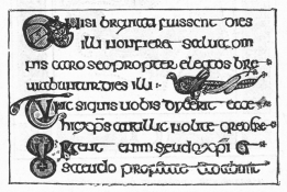 Ирландское письмо и книжное украшение VIII в.