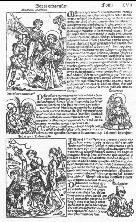 Страница инкунабулы («Нюрнбергская хроника» Шеделя, 1493). Архитектурно-целостное построение страницы (рис. 3)
