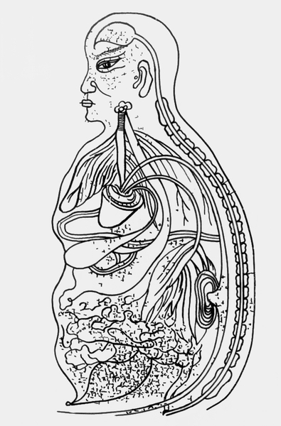 Анатомический рисунок из древнекитайской медицинской книги