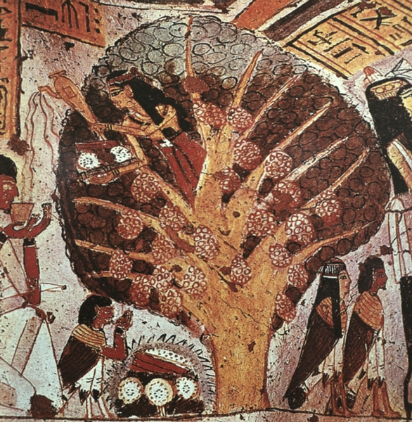Сикимора (богиня древнеегипетского древа жизни), льющая в чашу, подставленную больным, драгоценную «влагу глубин». Фрагмент стенной росписи гробницы Панехи. Фивы. 16—14 вв. до н. э