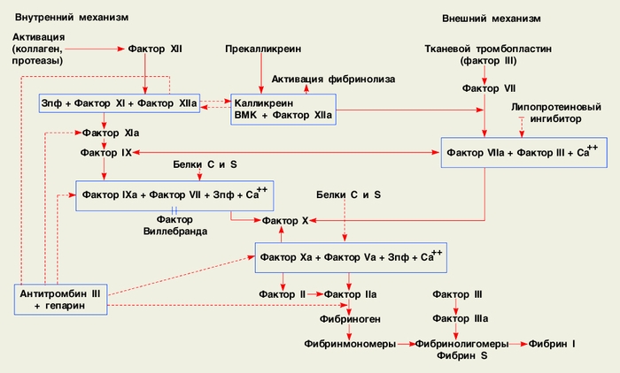 read elements of