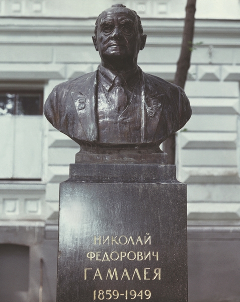 Памятник Н.Ф. Гамалее в Москве