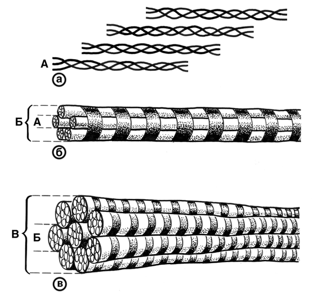 Рис. 1а,б,в). Схематическое изображение волокнистых коллагеновых структур кости: а — молекулы коллагена; б — микрофибрилла; в — фибрилла. Сканирующая электронограмма