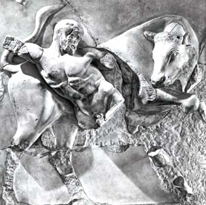 Геракл и критский бык.