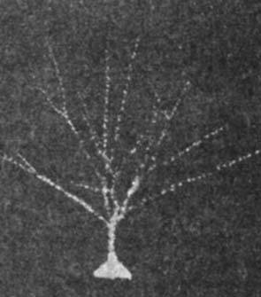 2507-10.jpg