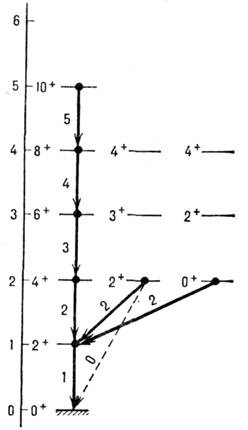 2514-104.jpg