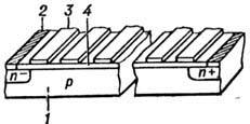 4011-394.jpg