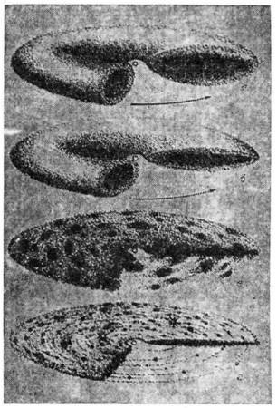 4014-221.jpg
