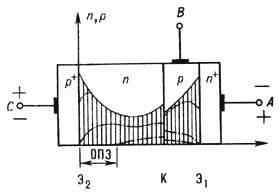 5021-14.jpg