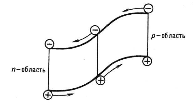 5064-4.jpg