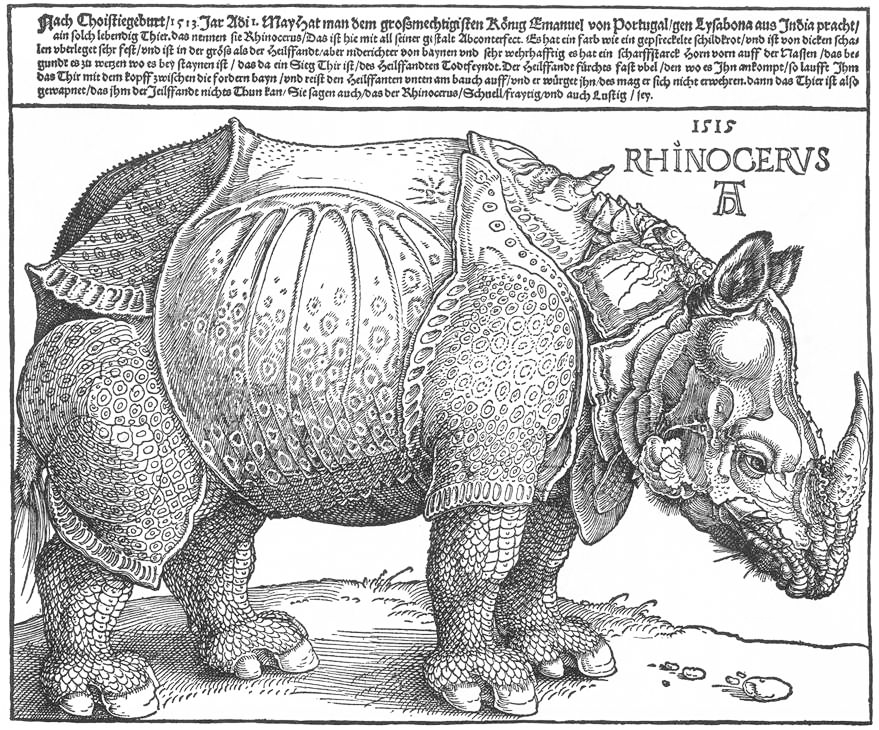 Носорог, 1515 г.