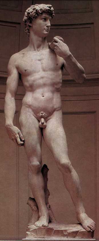 Микеланджело. «Давид». Мрамор. 1501—04 гг. Галерея Академии. Флоренция