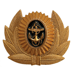 какая форма у морпехов