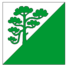 Флаг волости Раазику
