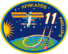 Expedition 11 insignia (iss patch).png
