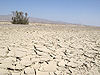 Karakum Desert.jpg