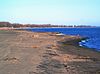 Lake Erie from Long Point.jpg