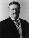 President Theodore Roosevelt, 1904.jpg