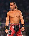 Shawn Michaels at WrestleMania XXIV.jpg