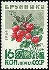 Soviet Union stamp 1964 CPA 3136.jpg